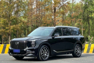 广汽传祺 传祺GS8 2022款 领航系列 2.0TGDI 两驱尊贵版（七座）