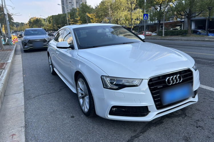 奥迪A5 2013款 Sportback 40 TFSI quattro车身外观6002