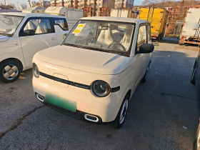 吉利银河 熊猫 2025款 210km 元气熊