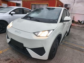 比亚迪 海鸥 2025款 智驾版 305km 活力版