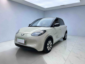 五菱汽车 五菱缤果 2024款 333km 悦享款