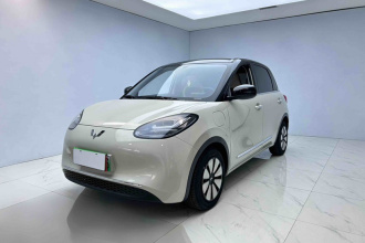 五菱汽车 五菱缤果 2024款 333km 悦享款