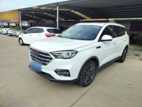 中国重汽VGV VGV U70 2020款 1.5T 自动智享精英版 7座