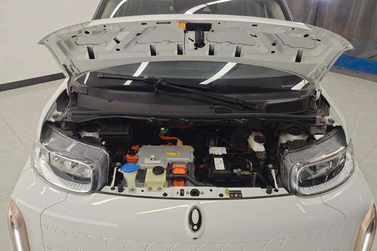 欧拉白猫 2022款 小野猫版 401km 旗舰型 三元锂机舱底盘24