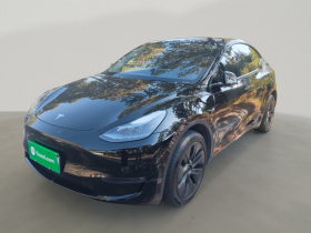 特斯拉 Model Y 2024款 长续航全轮驱动版