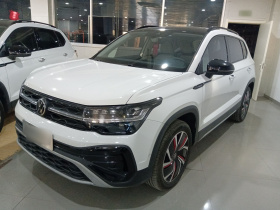 大众 途岳 2024款 300TSI 两驱月尊版