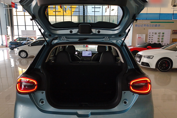 东风纳米 纳米01 2024款 330 Plus机舱底盘23