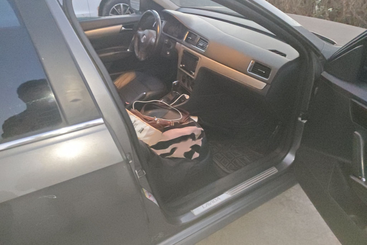 大众 朗逸 2014款 1.4TSI DSG蓝驱技术版局部细节9005