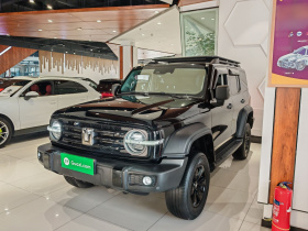 坦克300 2024款 2.0T 征服者