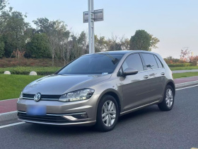 大众 高尔夫 2019款 280TSI DSG舒适型 国V