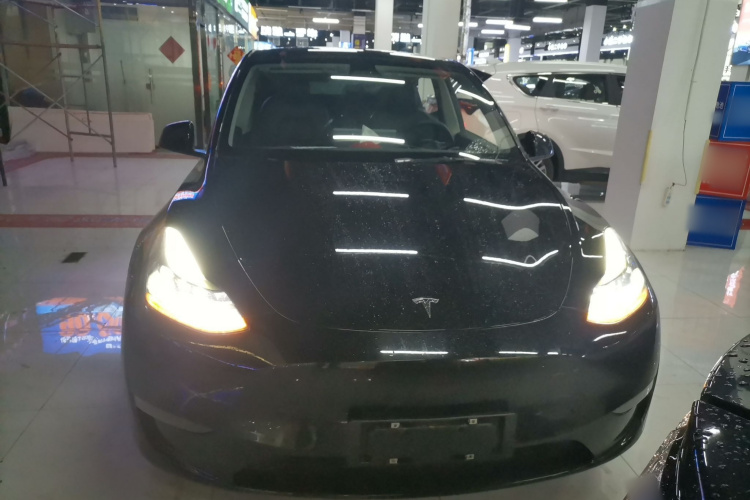 特斯拉 Model Y 2021款 标准续航后驱版车身外观6001