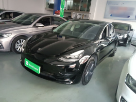 特斯拉 Model 3 2020款 标准续航后驱升级版