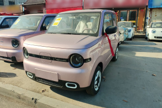 吉利银河 熊猫 2025款 210km 元气熊