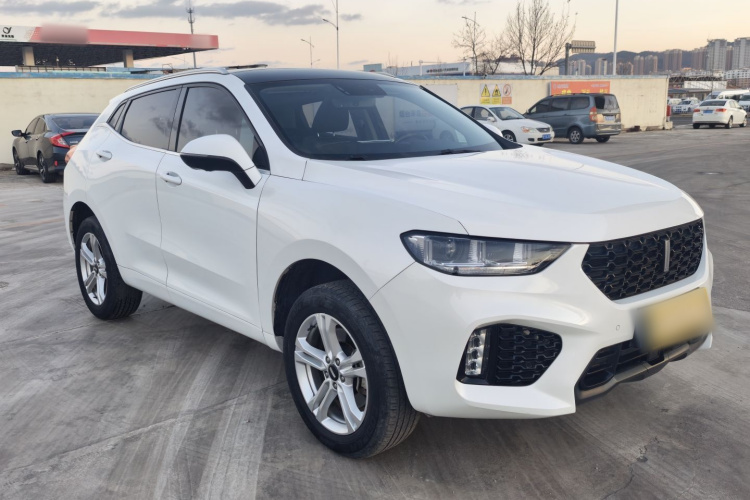 魏牌 VV5 2019款 1.5T 两驱颜先锋车身外观6002