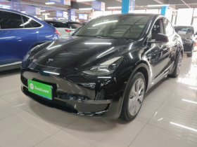 特斯拉 Model Y 2021款 标准续航后驱版