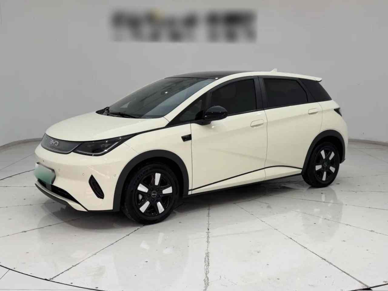 比亚迪 海豚 2025款 智驾版 410km 时尚版(2)