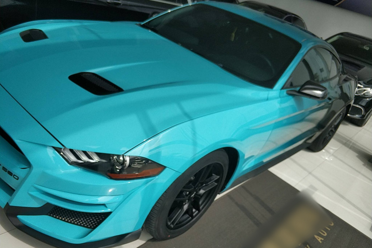 福特Mustang（平行进口） 车身外观4