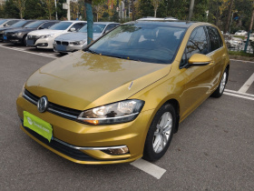 大众 高尔夫 2018款 1.6L 自动舒适型