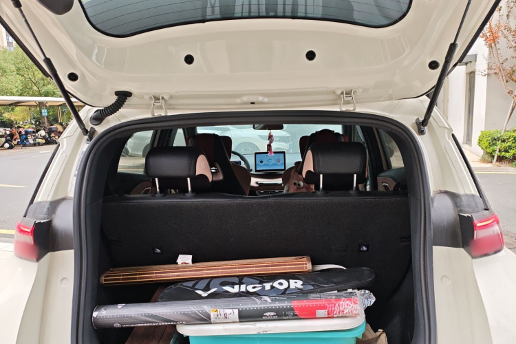 比亚迪 海鸥 2024款 荣耀版 305km 活力版机舱底盘23