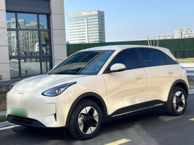 吉利银河 星愿 2025款 310km 梦想版