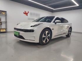 极氪001 2022款 长续航双电机 WE版