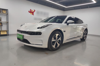 极氪001 2022款 长续航双电机 WE版