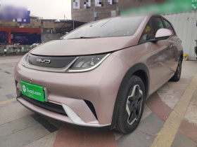 比亚迪 海豚 2021款 405km 时尚版