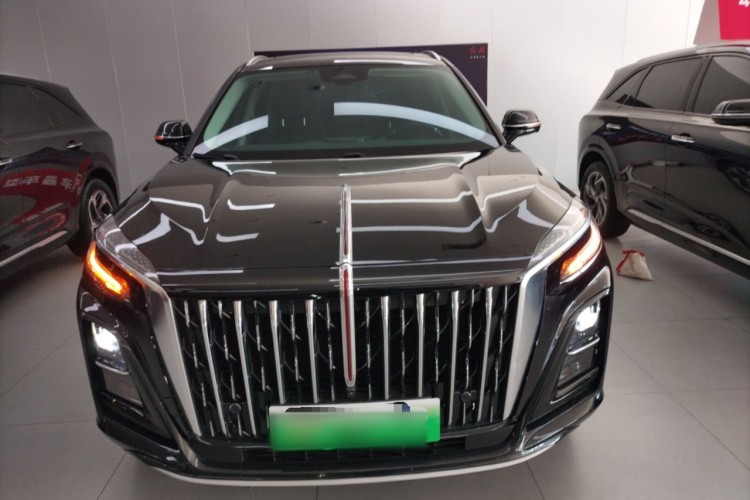 红旗HS3 PHEV 2024款 PHEV 115km 劲为版车身外观6001