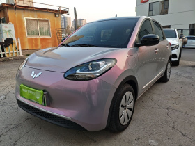 五菱汽车 五菱缤果 2024款 203km 轻享款