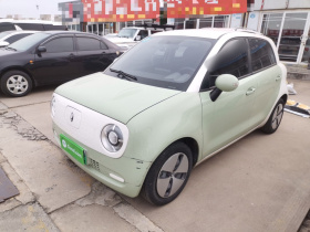 欧拉黑猫 2022款 301km 基础型 三元锂