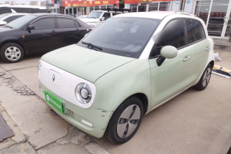 欧拉黑猫 2022款 301km 基础型 三元锂