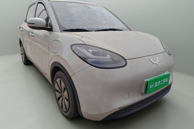 五菱汽车 五菱缤果 2024款 333km 悦享款车身外观3