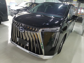 广汽传祺 传祺E9 2024款 E9 冠军版