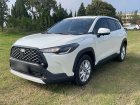 丰田 卡罗拉锐放 2024款 2.0L 精英版