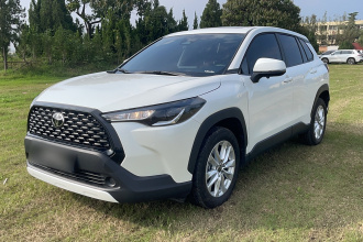 丰田 卡罗拉锐放 2024款 2.0L 精英版