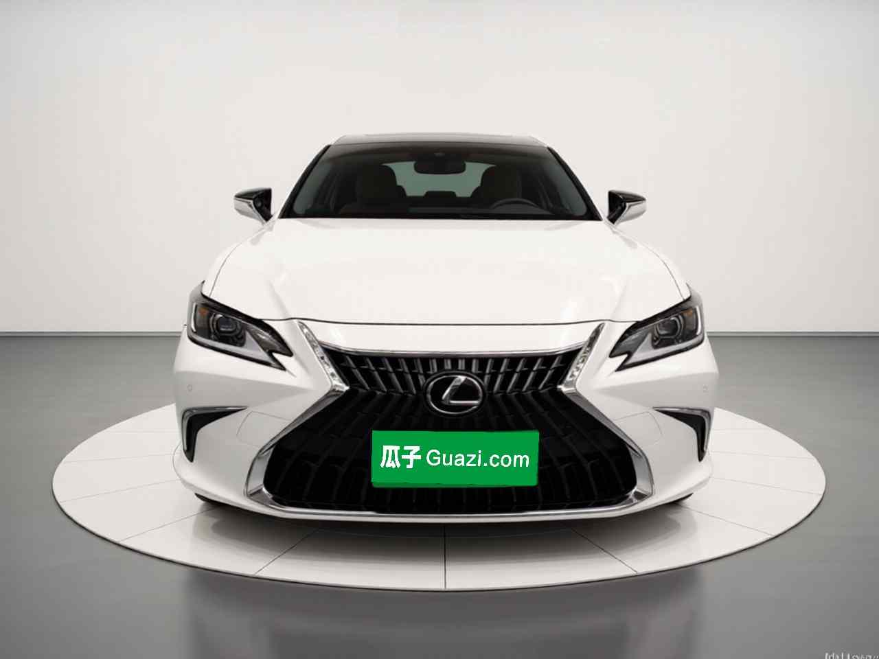 雷克萨斯ES 2023款 200 卓越版(1)