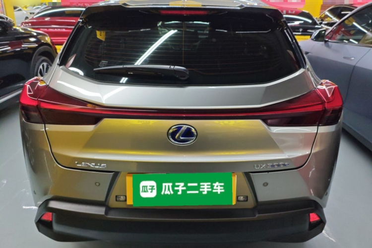 雷克萨斯UX新能源 2020款 300e 纯·悦版车身外观6