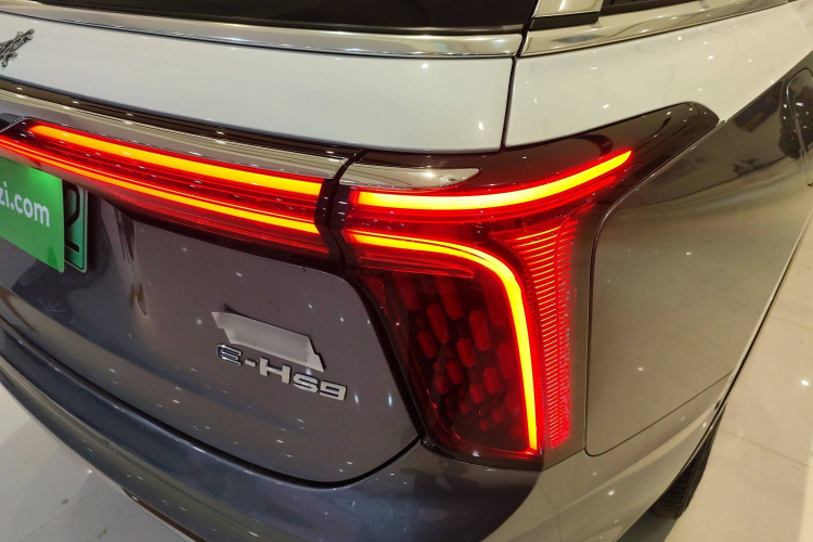 红旗E-HS9 2021款 510km 旗领版 四座车身外观9