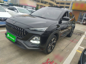 思皓X8 2021款 300T DCT领先智联版 7座