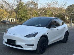特斯拉 Model Y 2024款 后轮驱动版