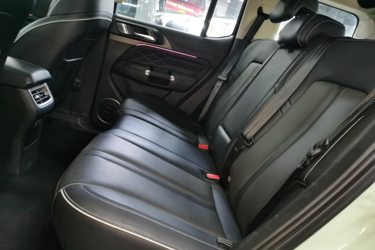 坦克300 2023款 2.0T 铁骑02中控内饰21