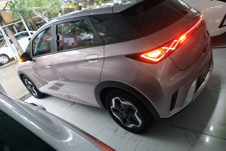 比亚迪 海豚 2021款 405km 时尚版车身外观6003