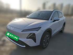 五菱汽车 五菱星光S 2024款 60km 进阶型