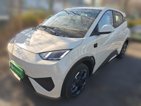 比亚迪 海鸥 2025款 智驾版 305km 自由版