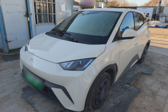 比亚迪 海鸥 2025款 305km 活力版