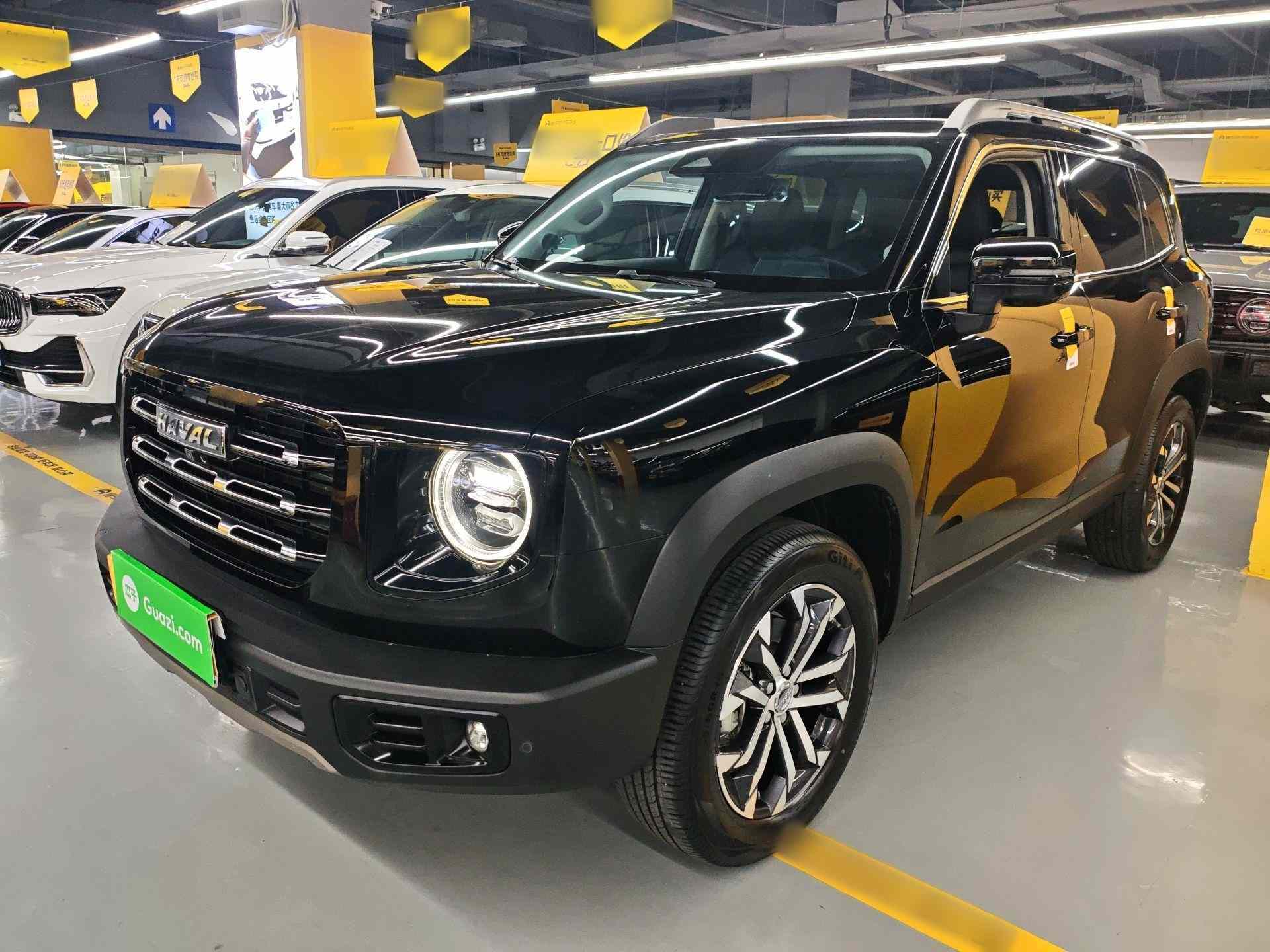 哈弗大狗 2022款 1.5T DCT两驱边牧版(2)