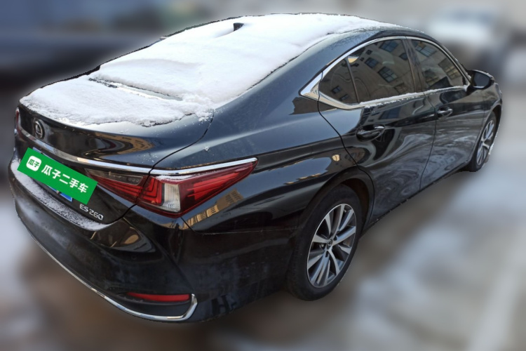 雷克萨斯ES 2020款 200 卓越版车身外观6005