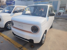 吉利银河 2024款 熊猫mini 200km 耐力熊