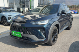 哈弗H6S 2022款 2.0T 两驱智跑版