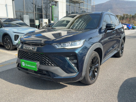 哈弗H6S 2022款 2.0T 两驱智跑版